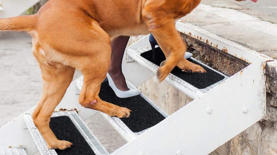 防滑貼，撐起一把生命的保護傘-防滑貼大量批發(fā)供應【昆山玉寰】